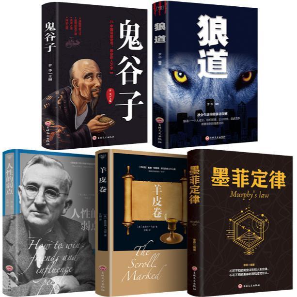 哔哩哔哩怎么快速玩转，掌握高效使用技巧